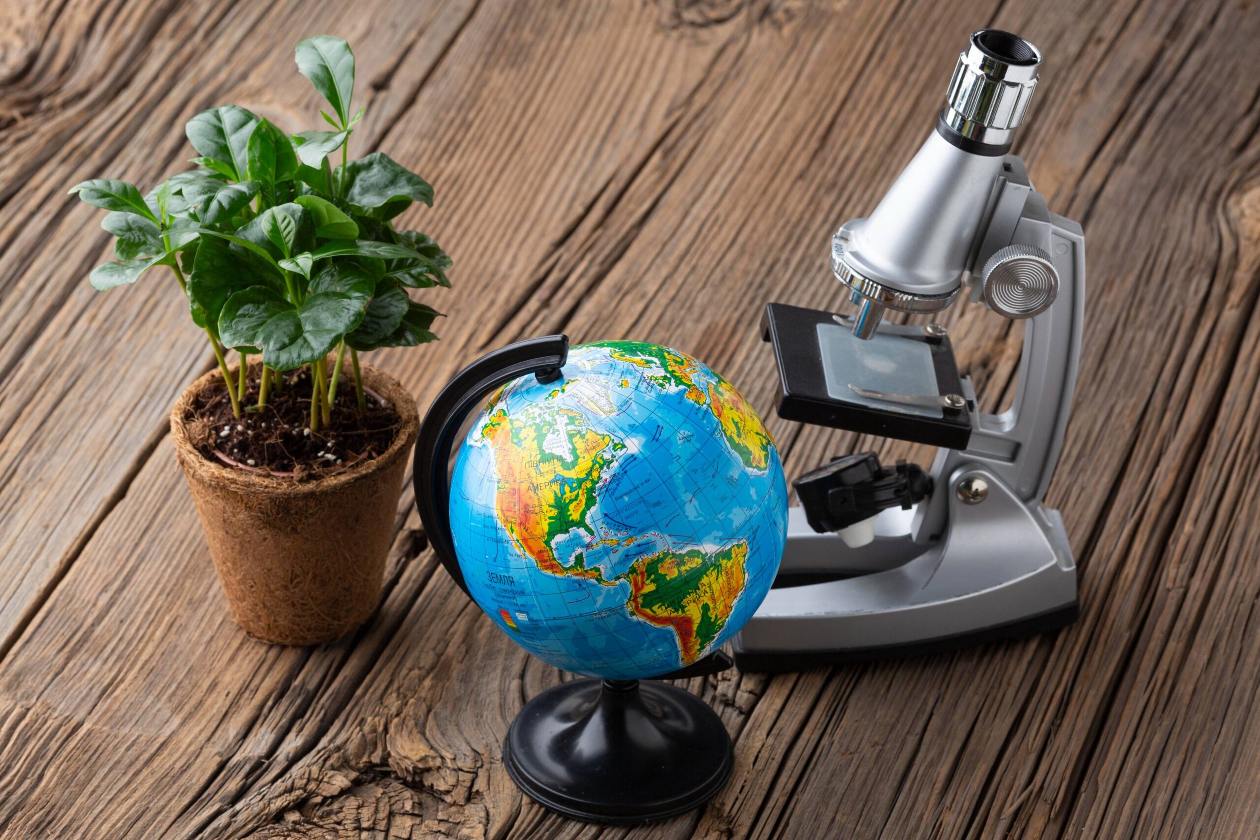 high-angle-plant-microscope-arrangement (2)